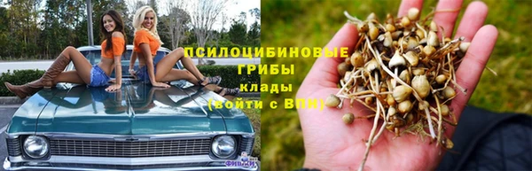 2c-b Михайловка