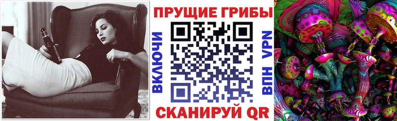 даркнет сайт это Telegram Псилоцибиновые грибы Cubensis Карабаш