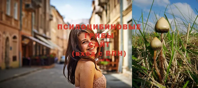 Галлюциногенные грибы MAGIC MUSHROOMS  купить наркотик  Карабаш 